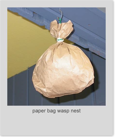 wasp nest paper bag